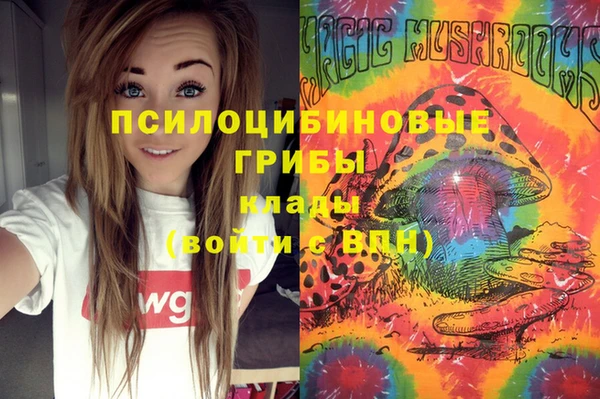 мет Новодвинск