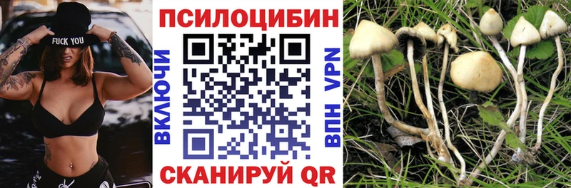 Галлюциногенные грибы Cubensis  Палласовка 