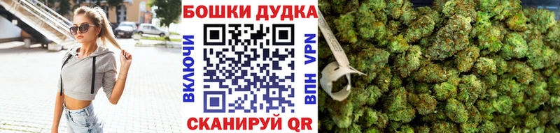 блэк спрут как войти  как найти наркотики  Палласовка  Канабис сатива 